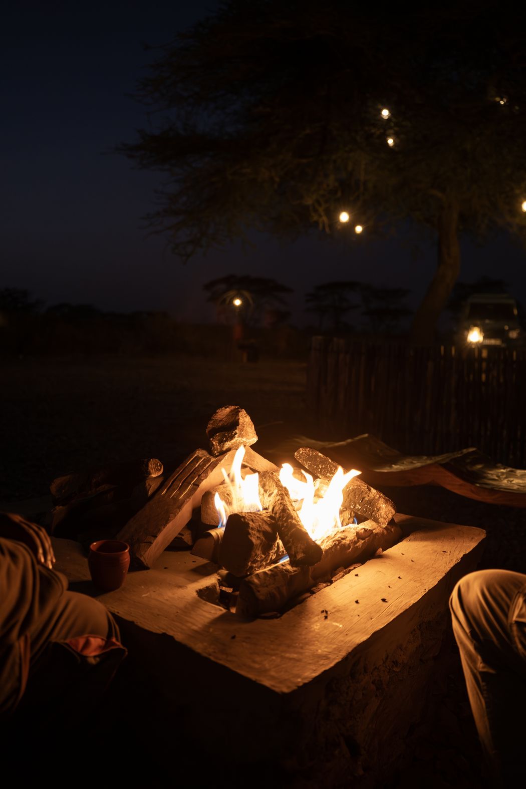 A camp fire burning under acacia trees after dark