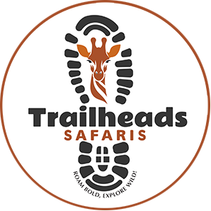 Trail Heads Safaris